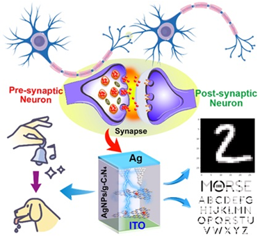 Amalgamated  hybrid materials